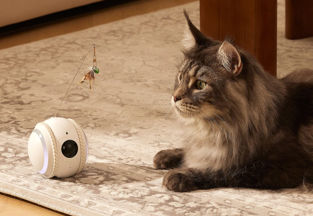 best indoor camera to watch pets