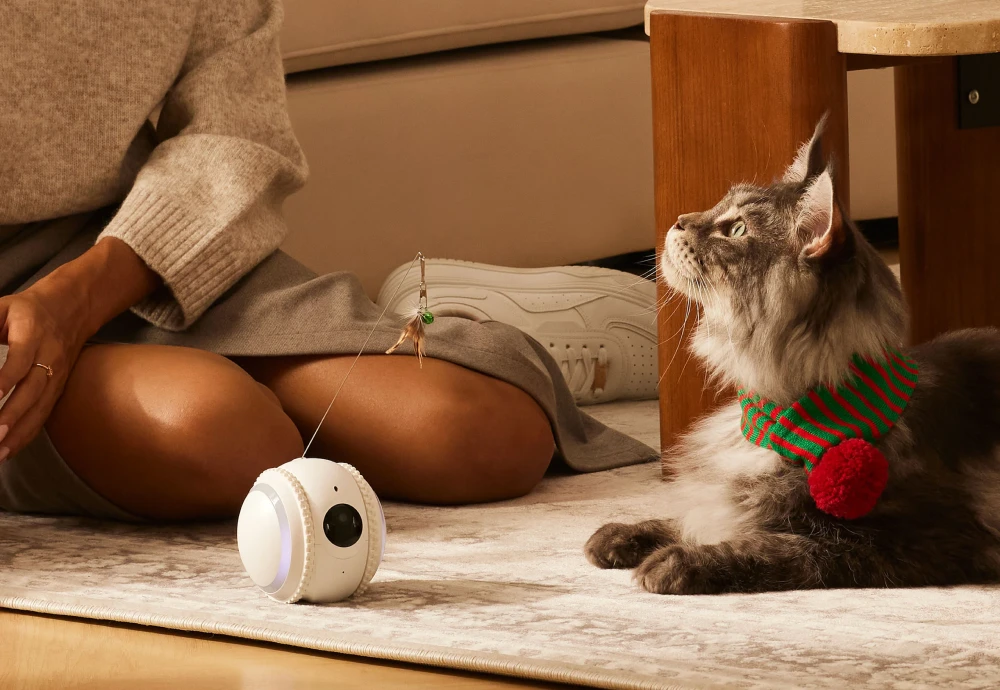 best indoor pet monitoring camera