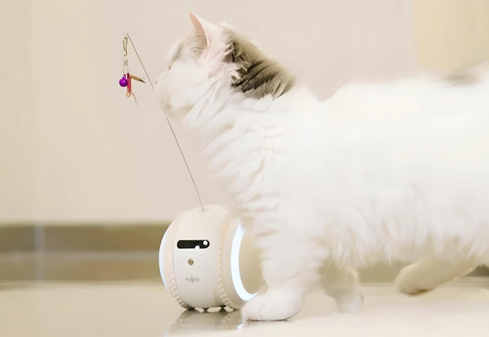 best indoor camera to watch pets