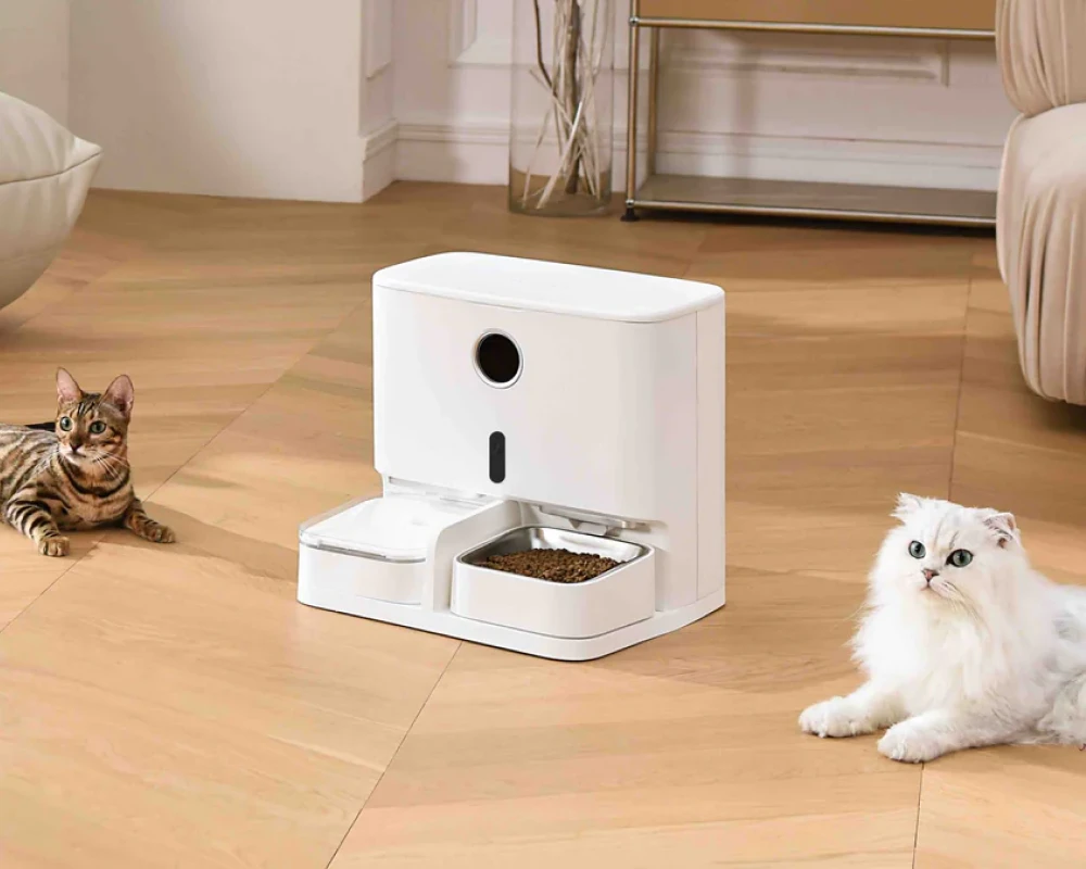 cat feeder with camera