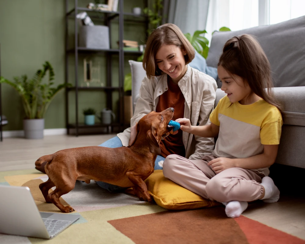 dog feeder with camera